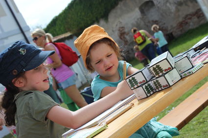 Galerie: Waldchampion – Waldquiz bei den NÖ Kindersommerspielen in Herzogenburg!