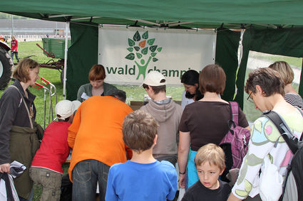 Waldchampion 2013: Die Stationen