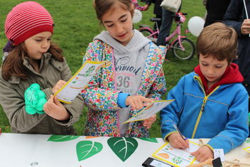 Das war der Waldchampion 2015